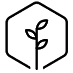 Order of the Mustard Seed